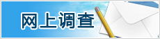 网上调查