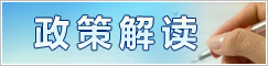 政策解读